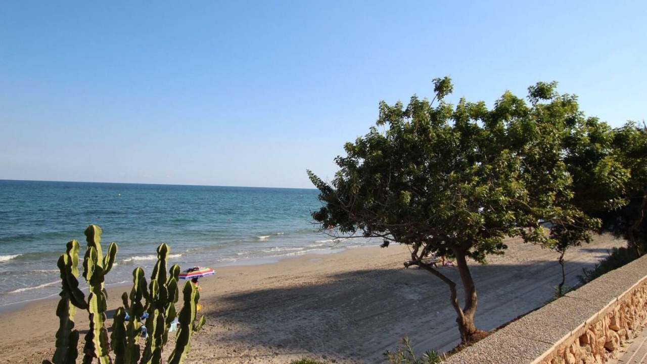 Photo of Others in Dehesa de Campoamor