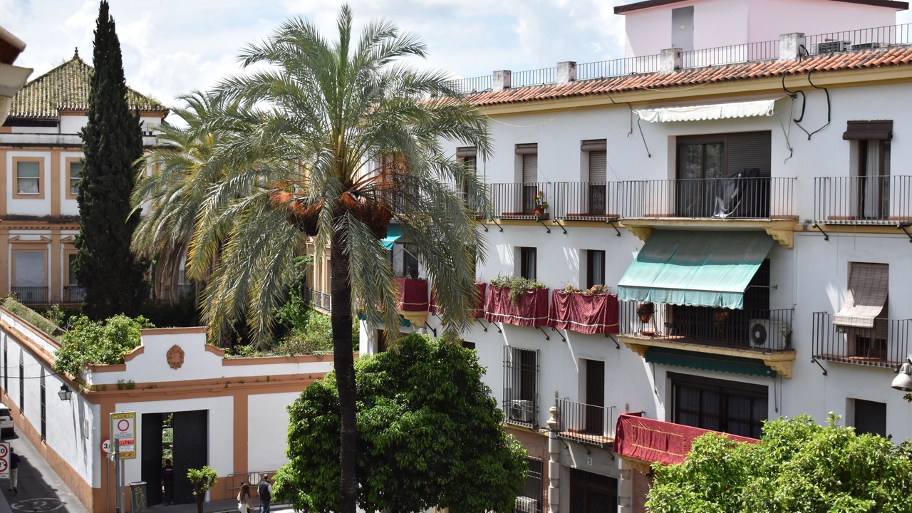 Photo of Outdoor in La Trinidad-San Juan y Todos los Santos