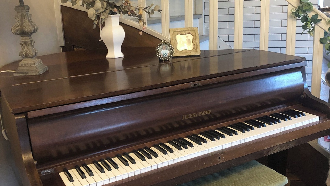 Photo of Others in Poigny la Foret