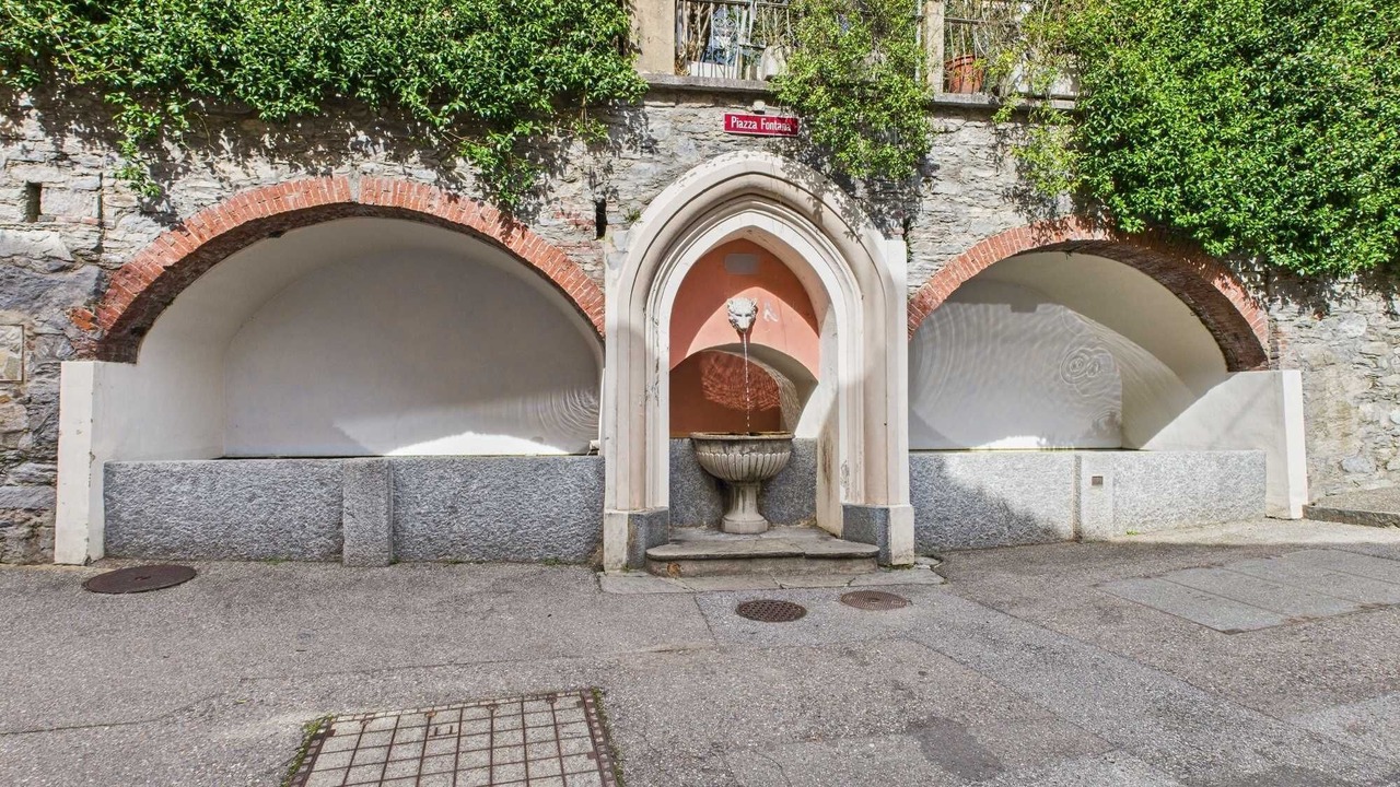 Photo of Outdoor in Curio