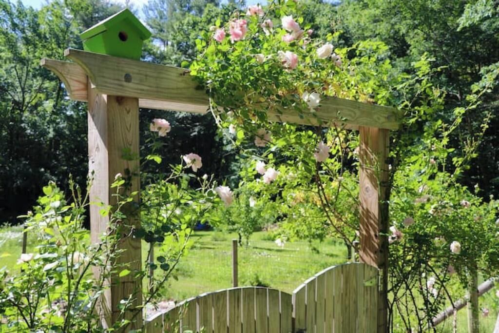 Photo of Outdoor in Wilton