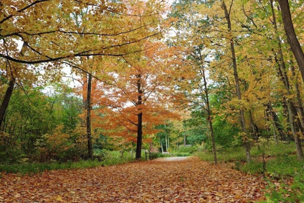 Photo of Others in Wilton