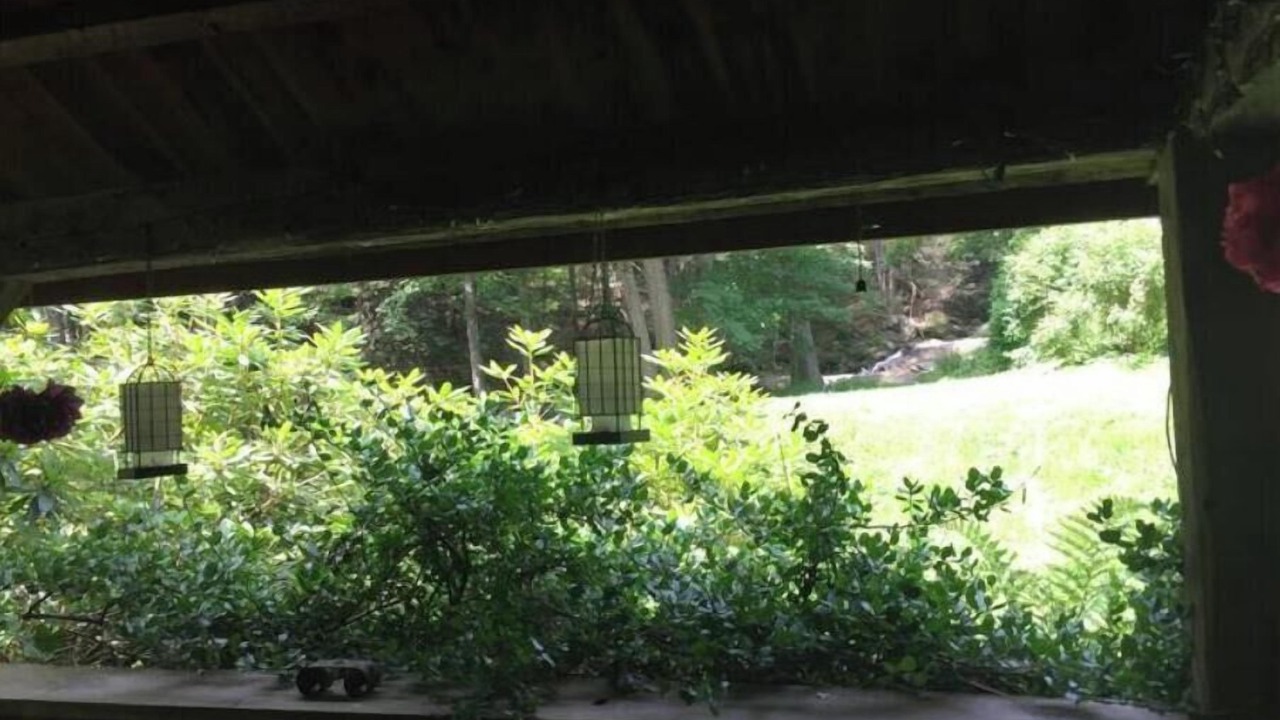 Photo of Outdoor in Wilton