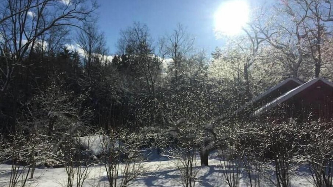 Photo of Others in Wilton