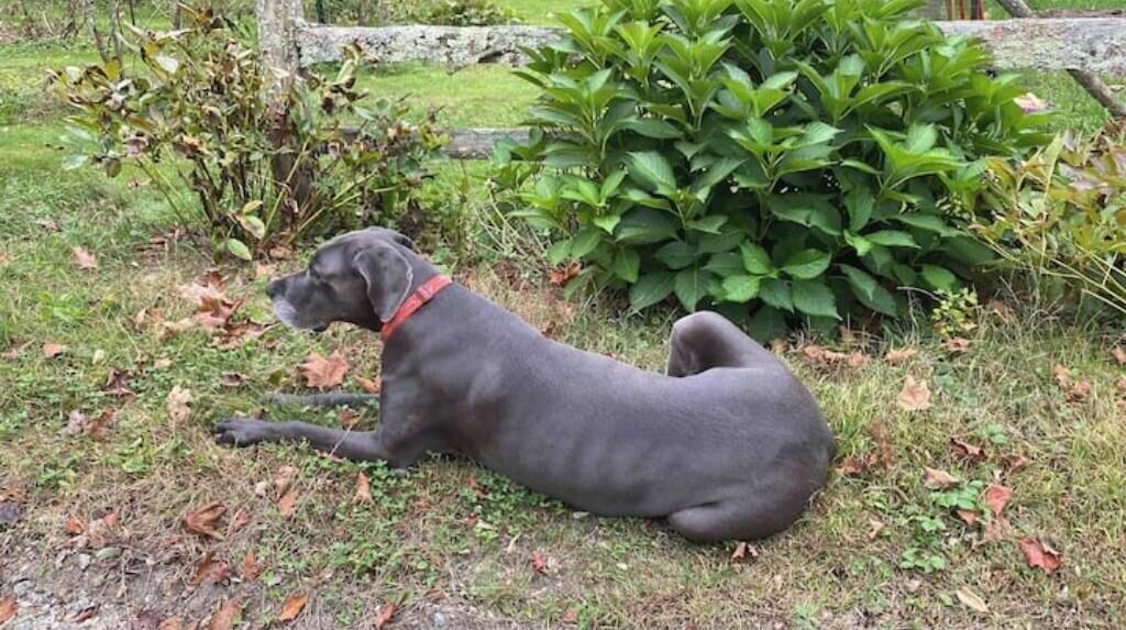 Photo of Others in Wilton