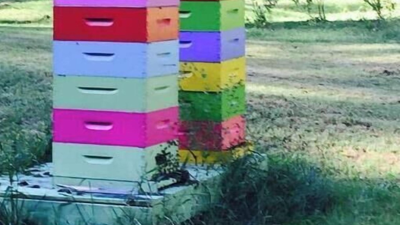 Photo of Outdoor in Wilton