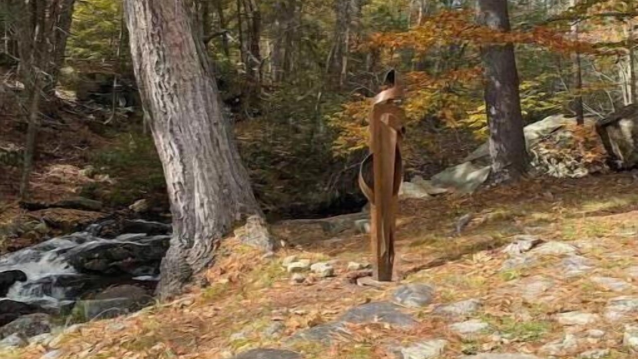 Photo of Others in Wilton