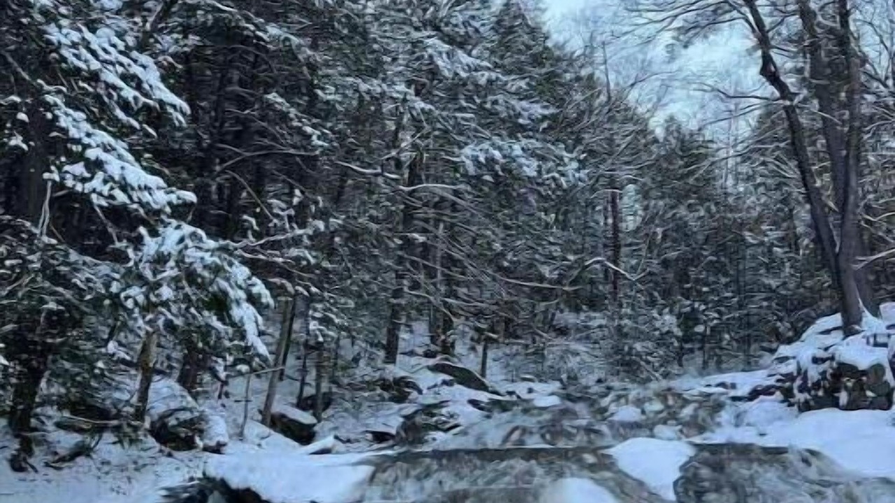 Photo of Others in Wilton