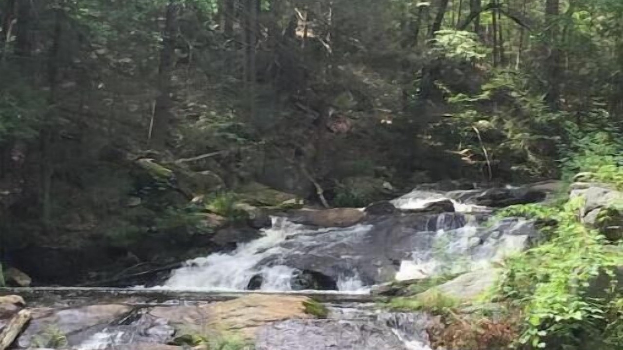 Photo of Others in Wilton