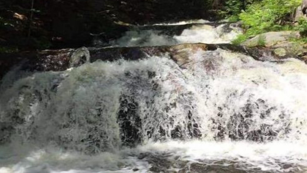 Photo of Others in Wilton