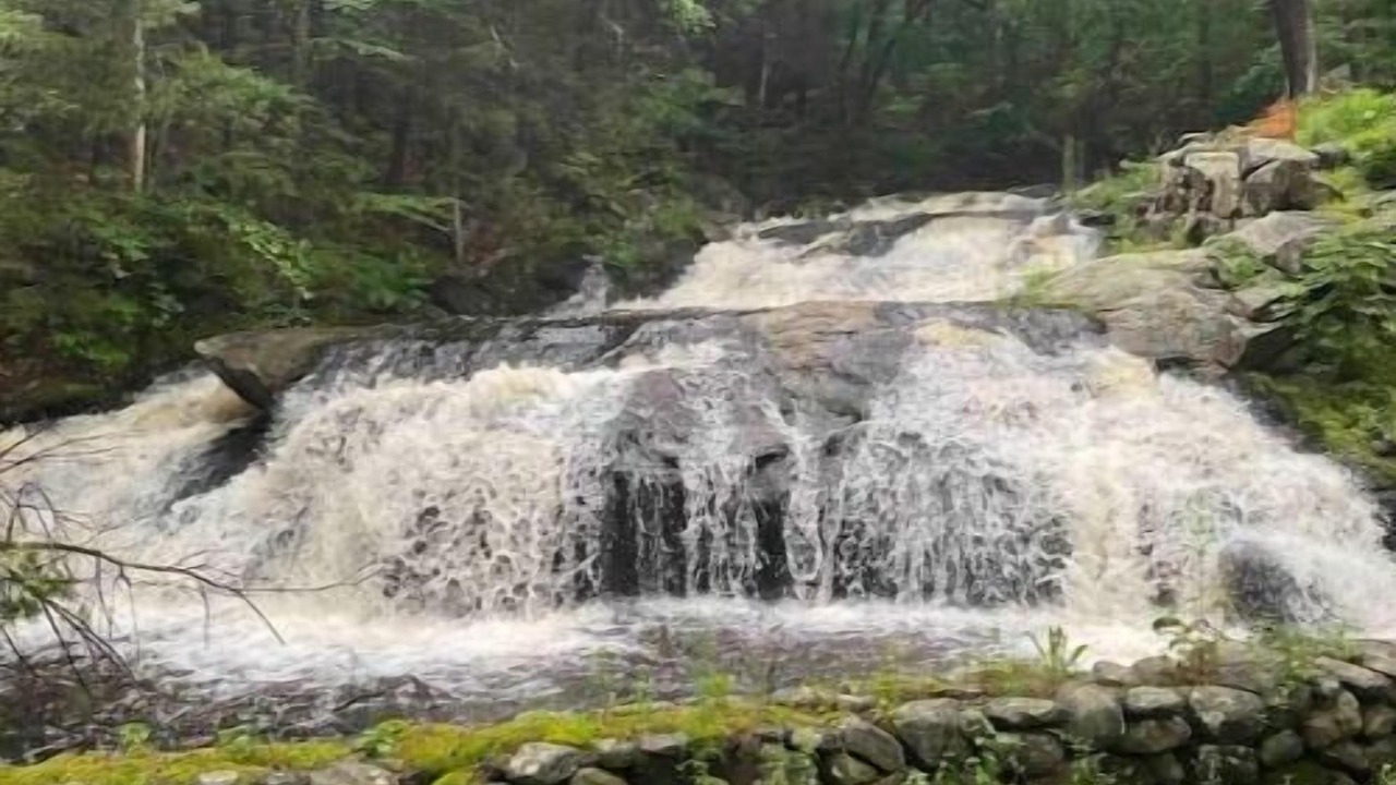 Photo of Others in Wilton