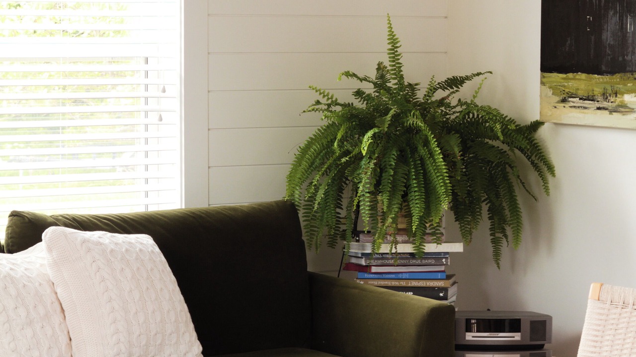 Photo of Livingroom in Grand-Digue