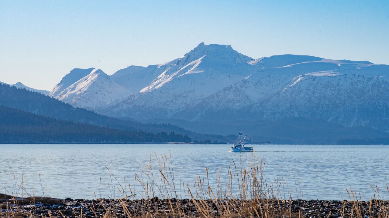 Photo of Others in Homer