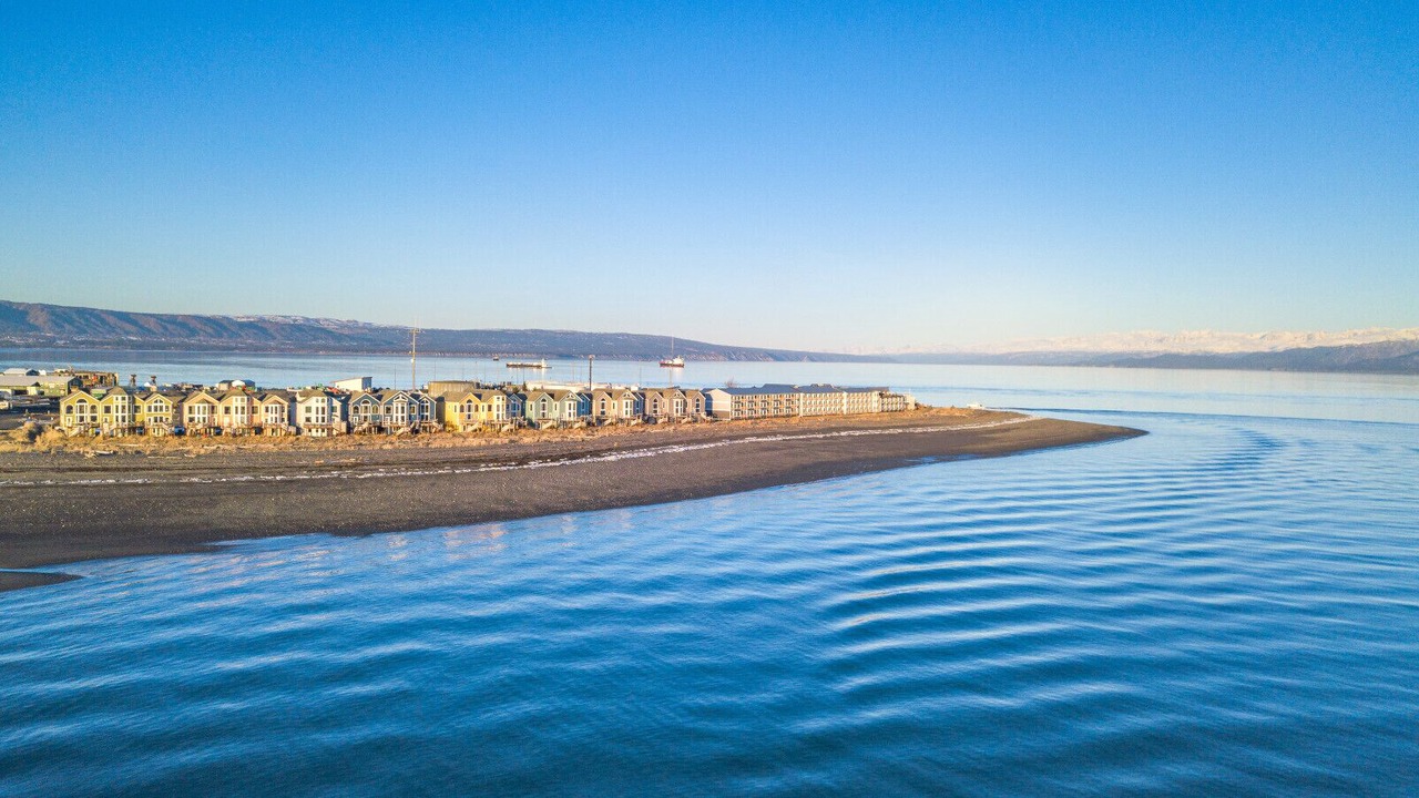 Photo of Others in Homer
