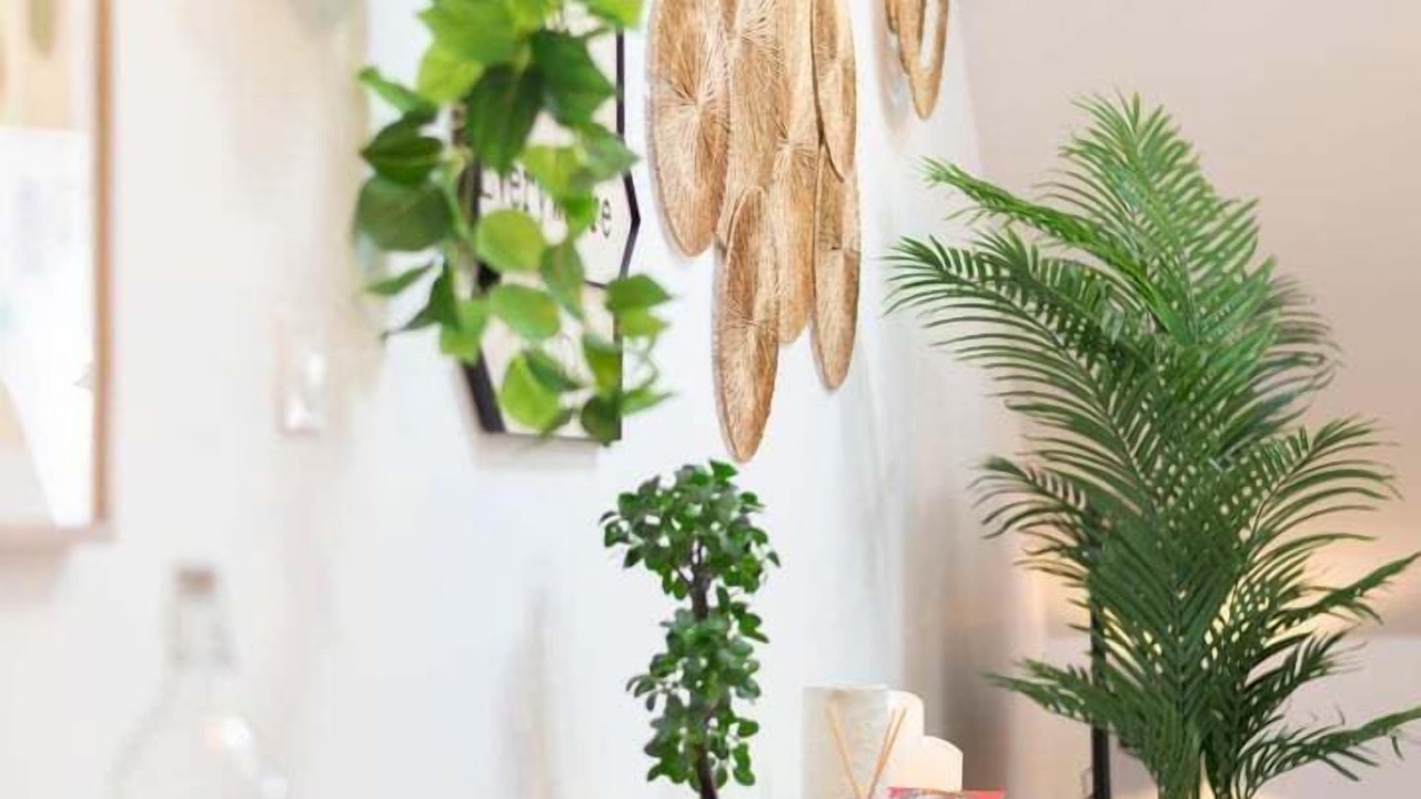 Photo of Others in Brequerecque