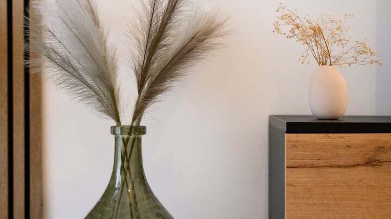 Photo of Others in Tarbes