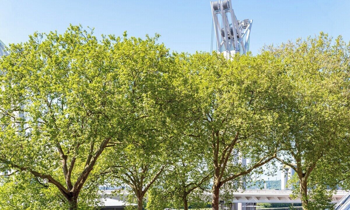 Photo of Others in Quartier Pasteur