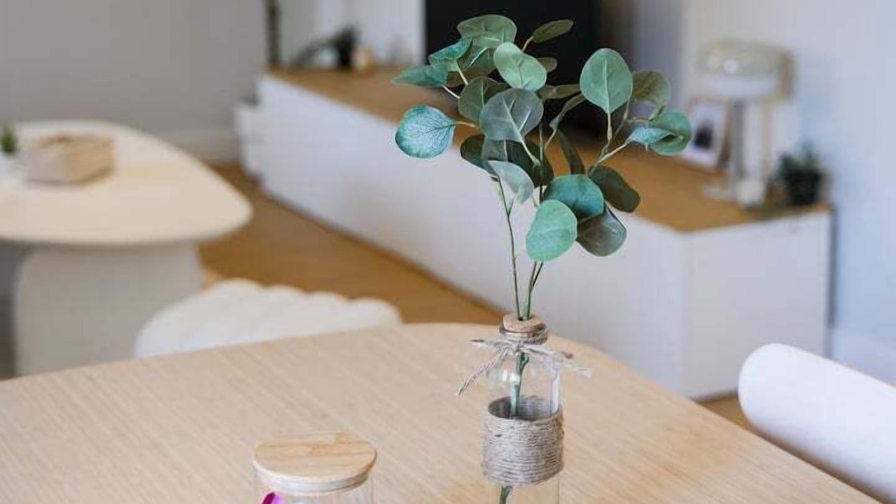 Photo of Others in Castres