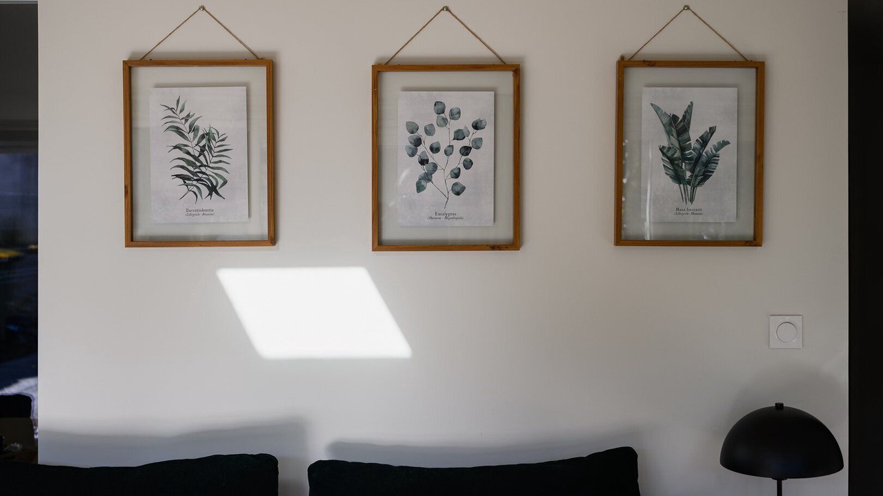 Photo of Others in Castres