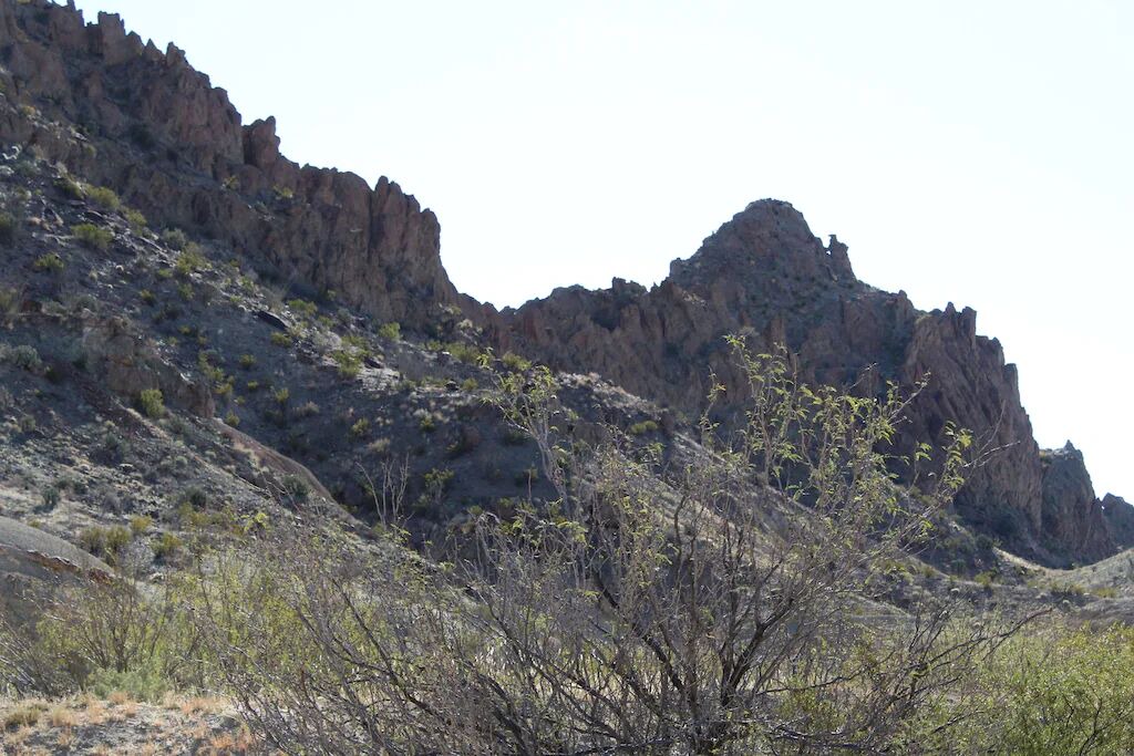 Photo of Others in Study Butte-Terlingua