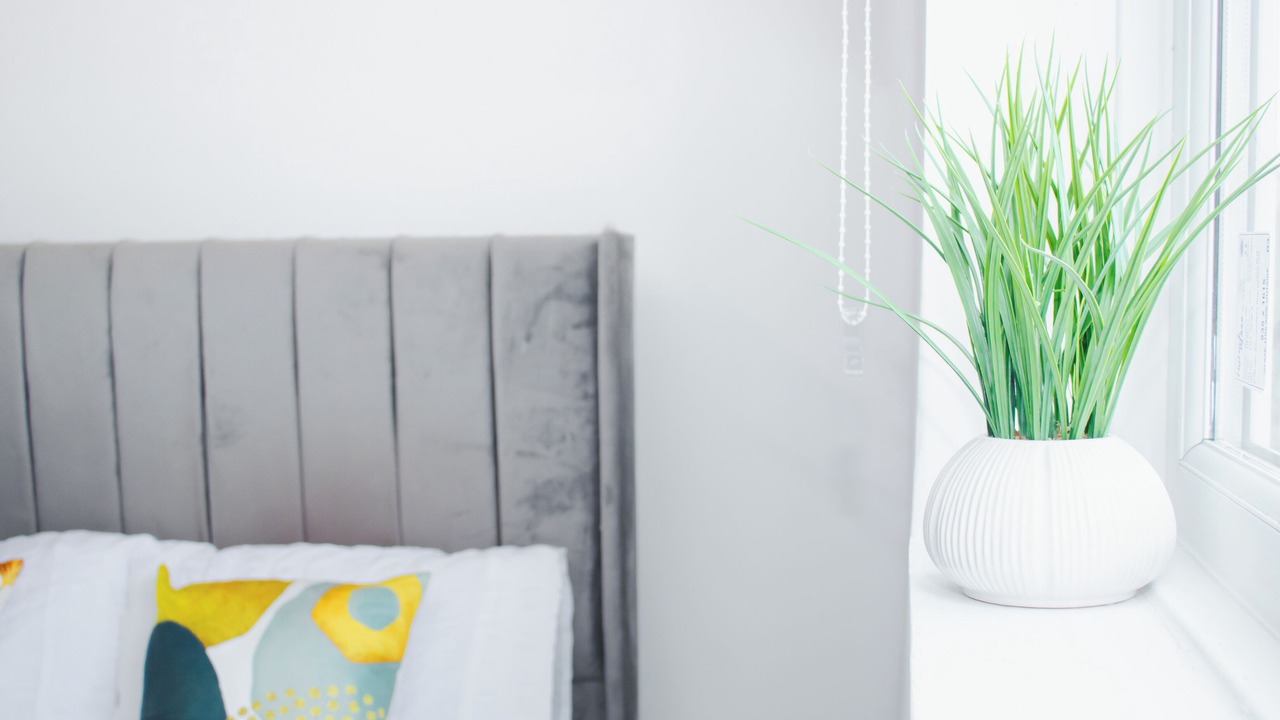 Photo of Others in Everton