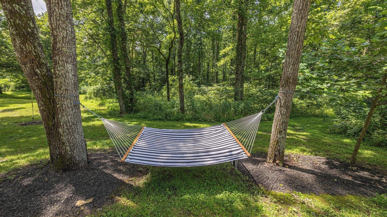 Photo of Outdoor in Shoals