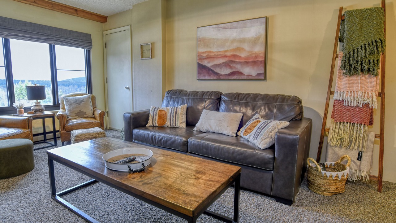 Photo of Livingroom in Snowshoe