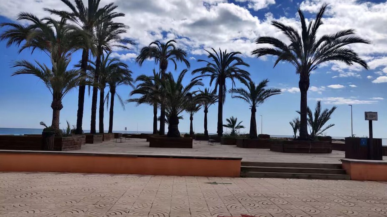 Photo of Others in Torreblanca