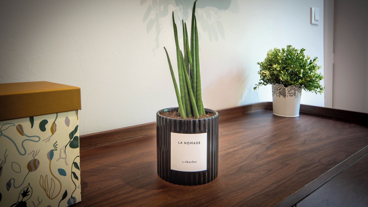 Photo of Others in Dracy-le-Fort