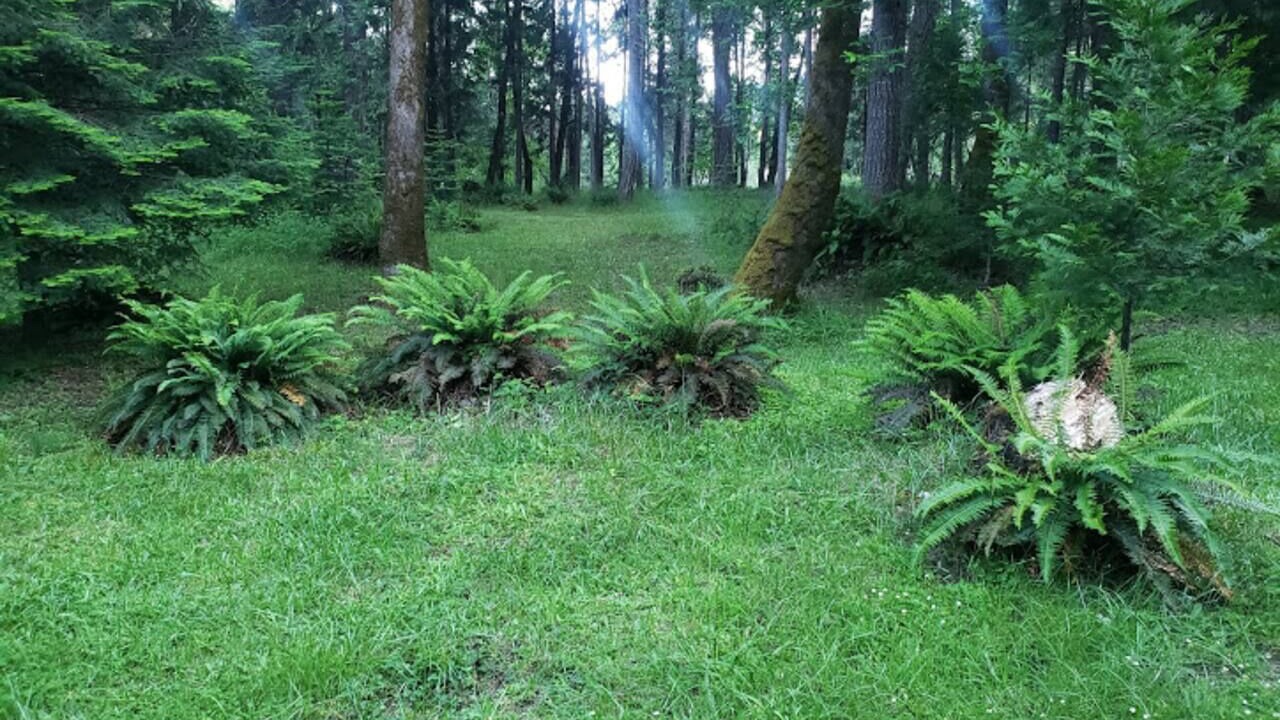 Photo of Others in Sunny Valley