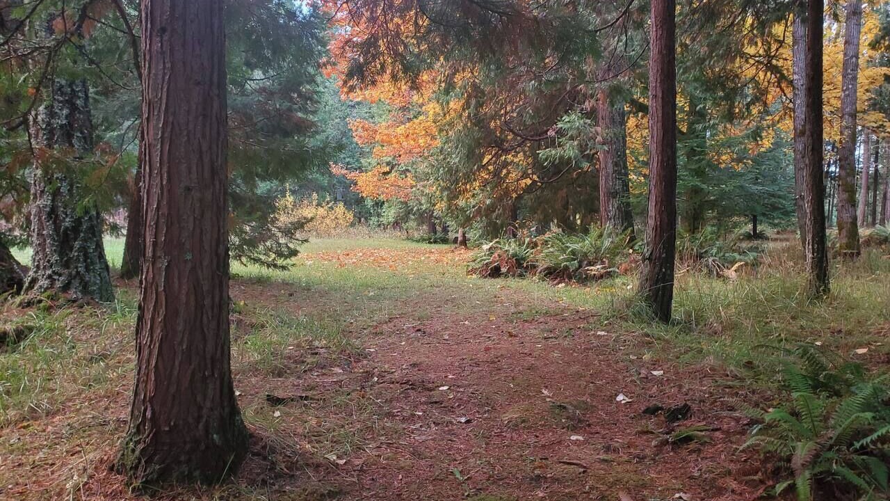 Photo of Others in Sunny Valley