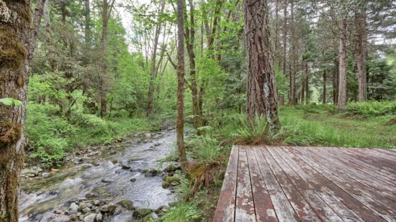 Photo of Others in Sunny Valley