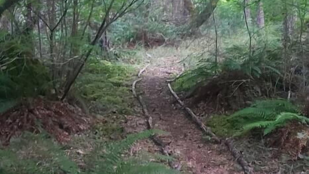 Photo of Others in Sunny Valley