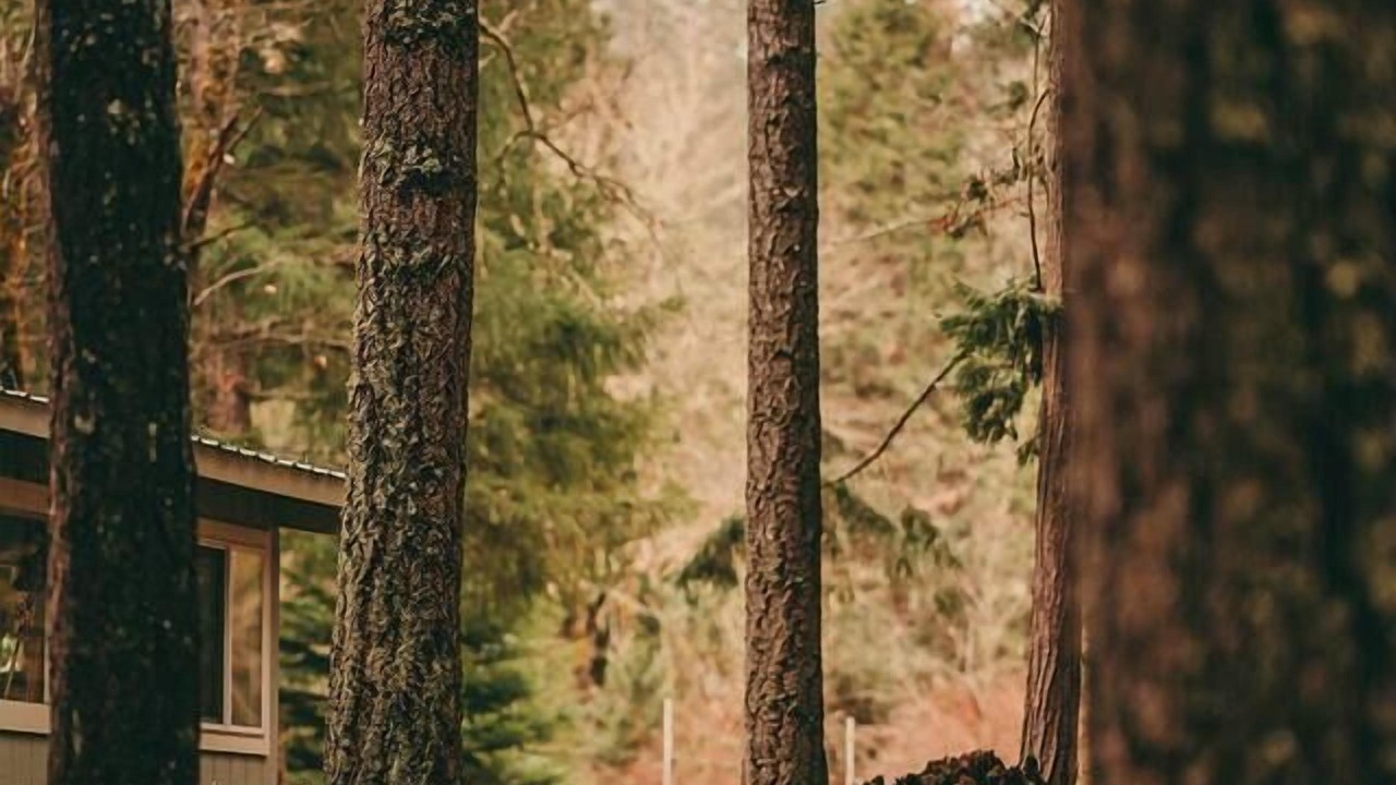 Photo of Others in Sunny Valley