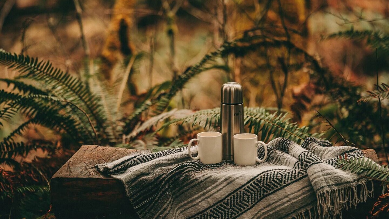 Photo of Others in Sunny Valley