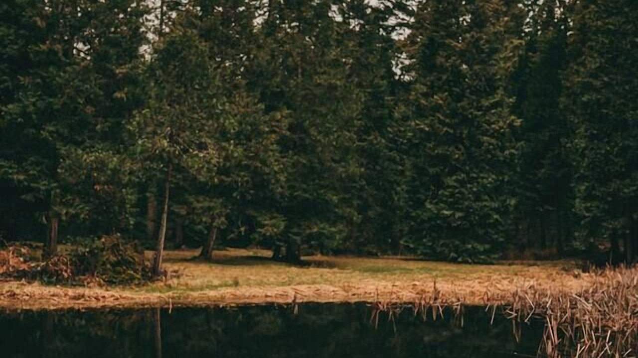 Photo of Others in Sunny Valley