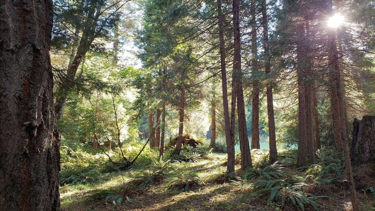 Photo of Others in Sunny Valley