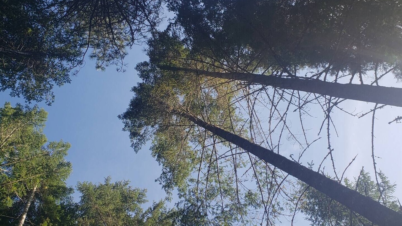 Photo of Others in Sunny Valley