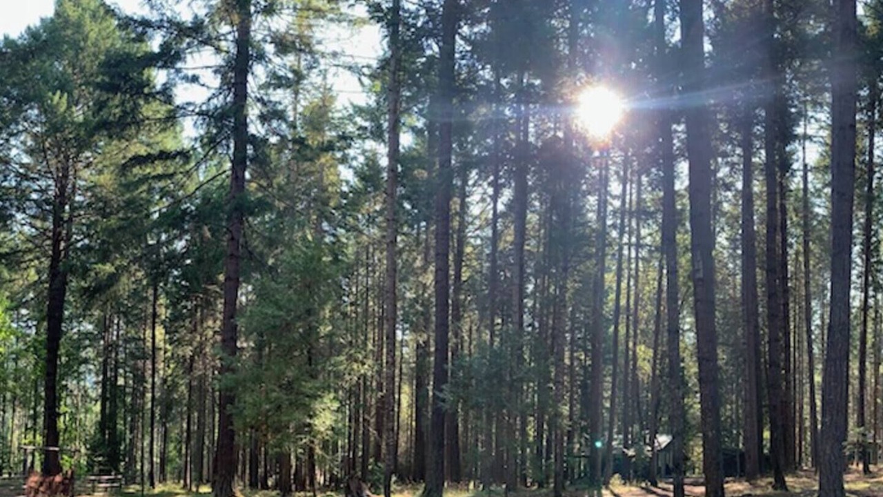 Photo of Others in Sunny Valley