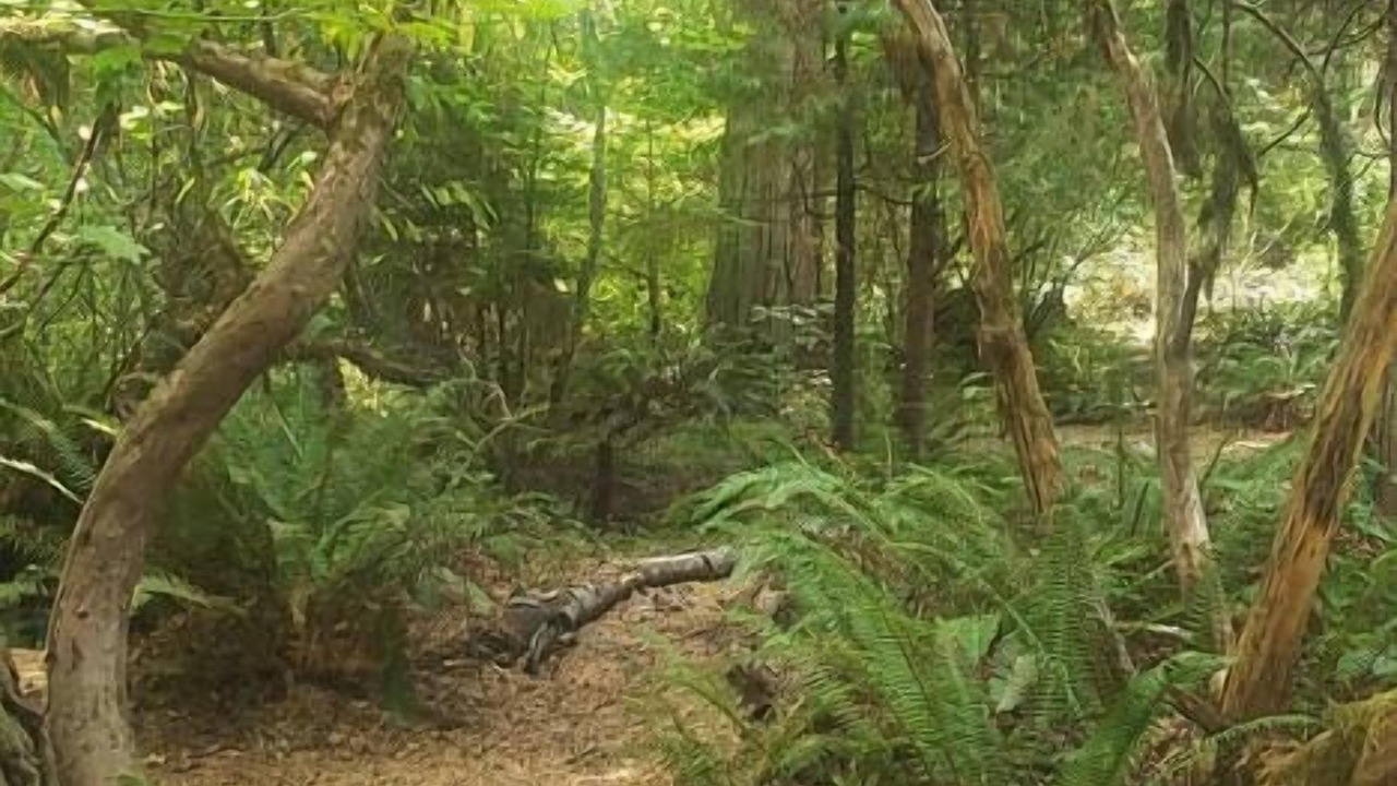 Photo of Others in Sunny Valley