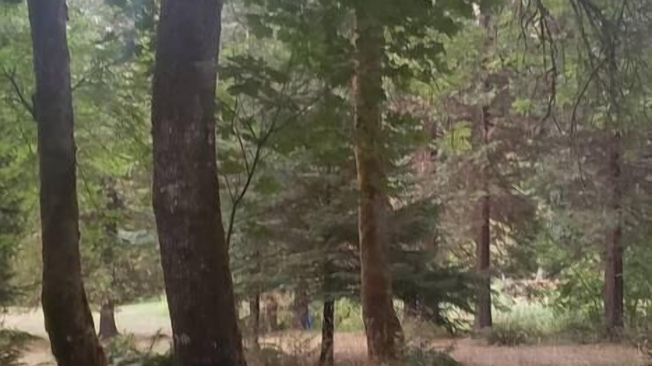 Photo of Others in Sunny Valley