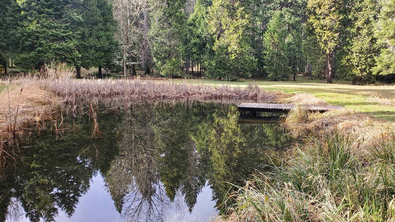 Photo of Outdoor in Sunny Valley