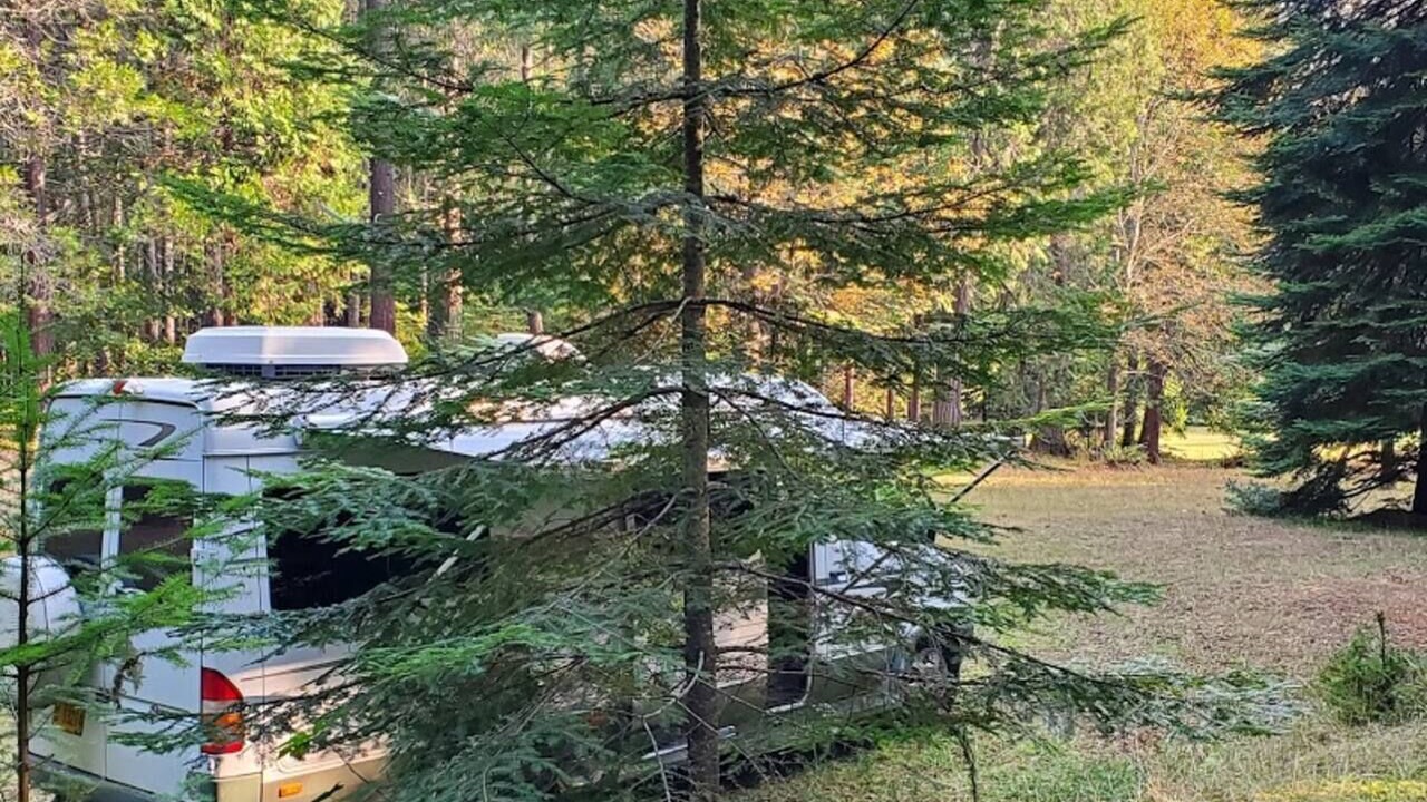 Photo of Others in Sunny Valley