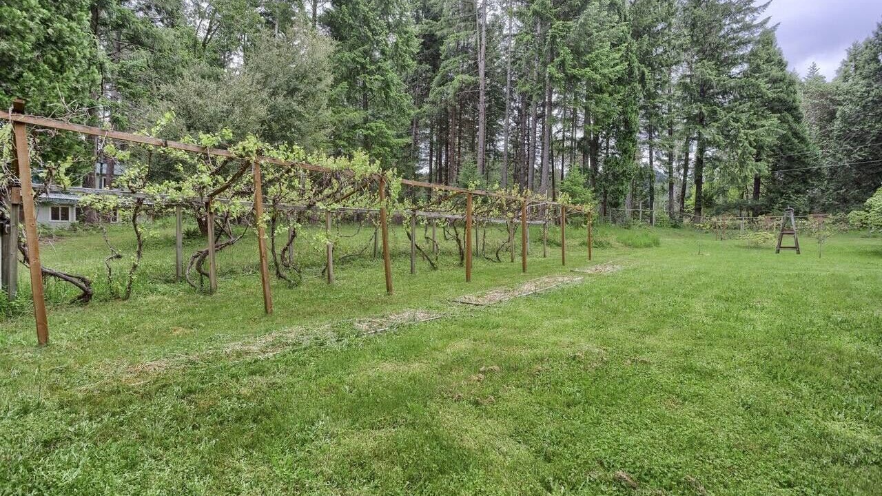 Photo of Others in Sunny Valley