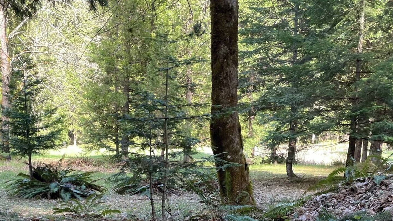 Photo of Others in Sunny Valley