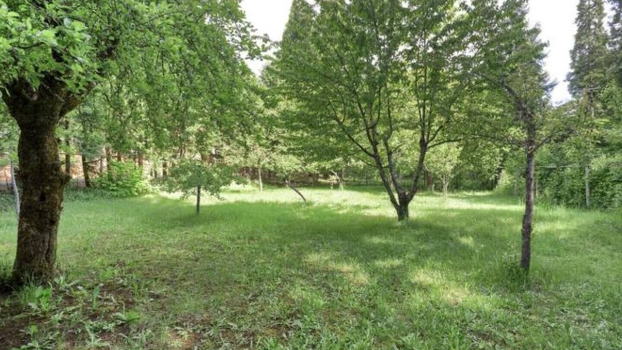 Photo of Others in Sunny Valley