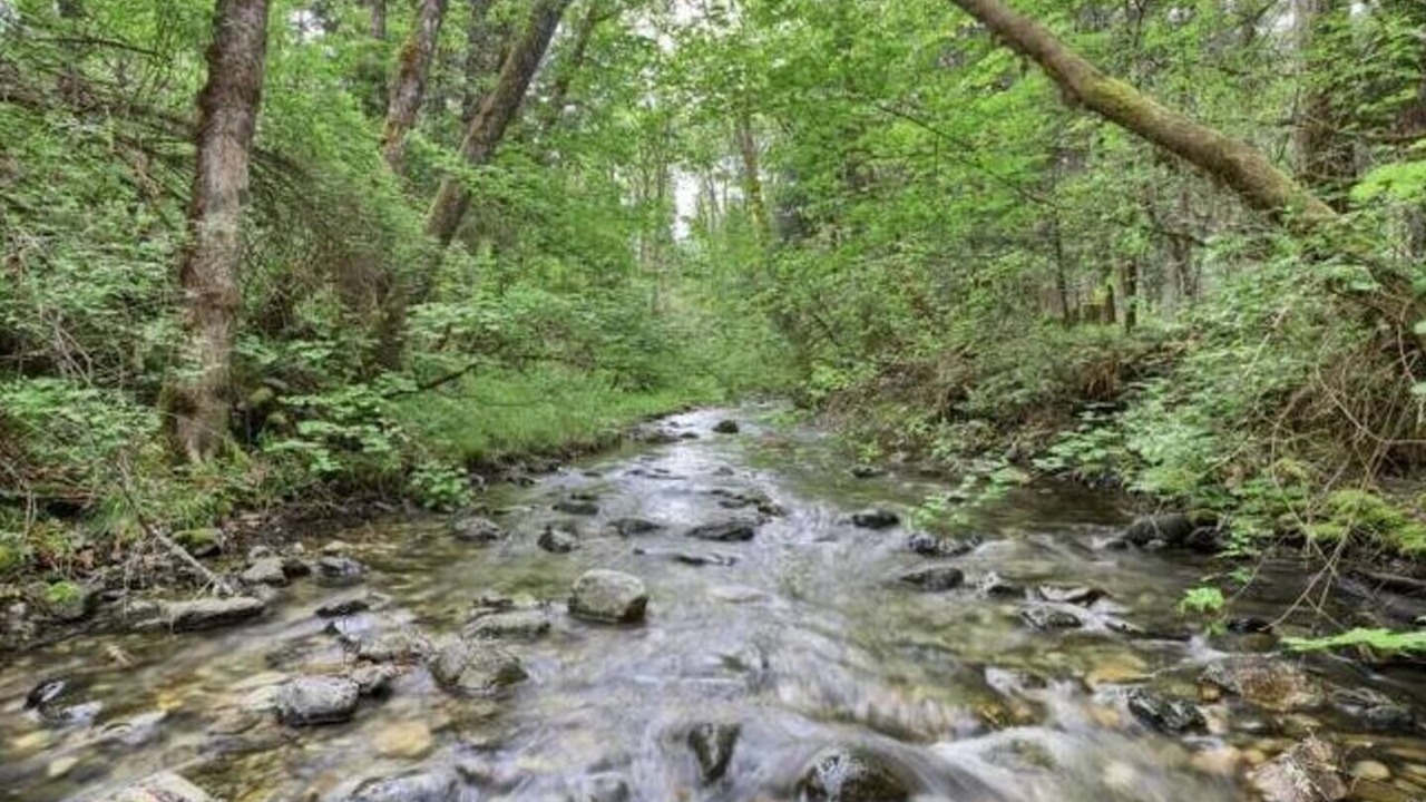 Photo of Others in Sunny Valley