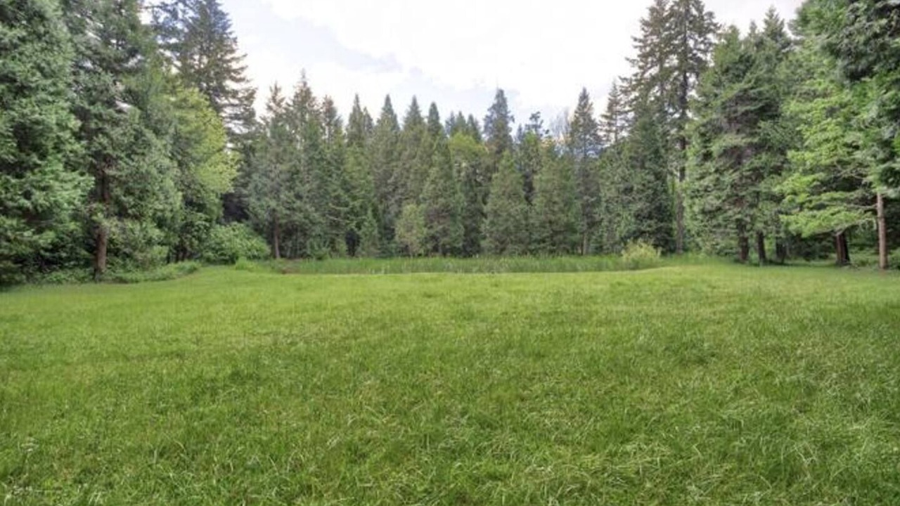 Photo of Others in Sunny Valley