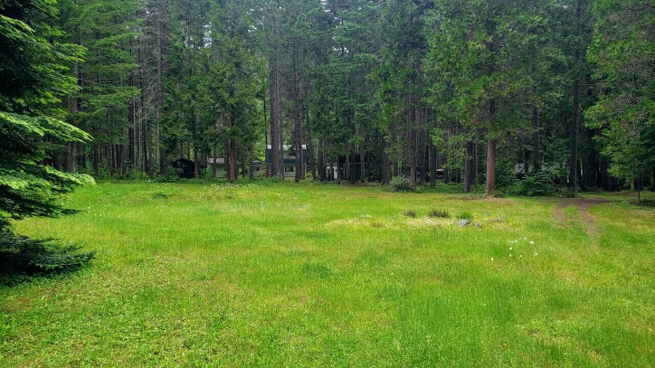 Photo of Others in Sunny Valley