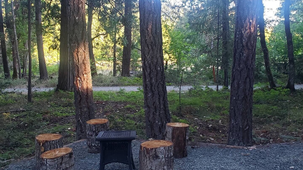 Photo of Others in Sunny Valley